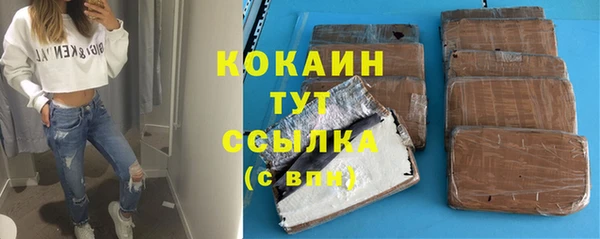 гидра Волоколамск
