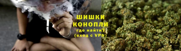 гидра Волоколамск