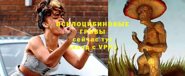 гидра Волоколамск