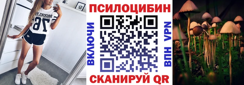 мориарти телеграм  что такое наркотик  Кущёвская  Галлюциногенные грибы Psilocybe 