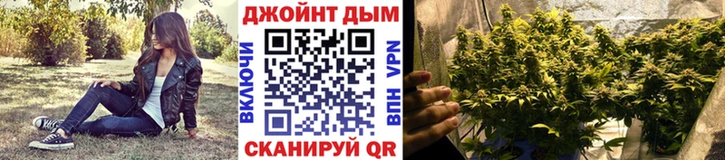 Бошки Шишки гибрид  Кущёвская 